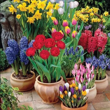 Quinta Santo Antonio Da Pedreira * Facha