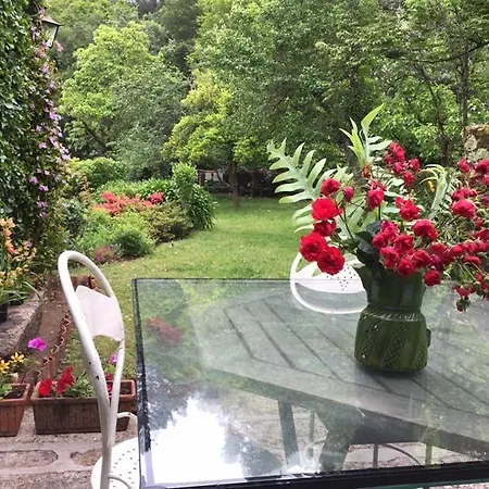 Quinta Santo Antonio Da Pedreira *