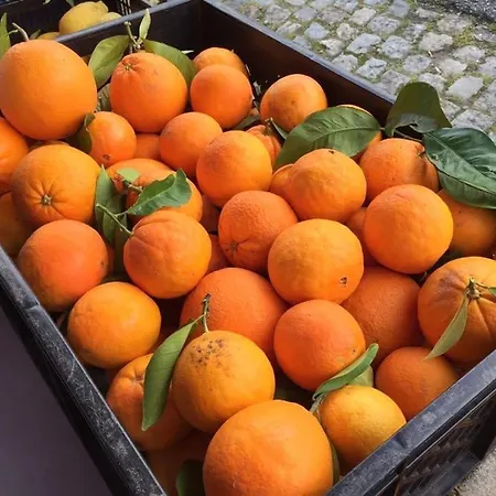 Quinta Santo Antonio Da Pedreira Facha