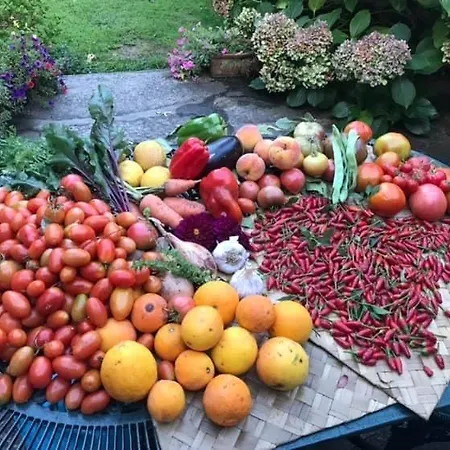 Quinta Santo Antonio Da Pedreira Séjour à la campagne *