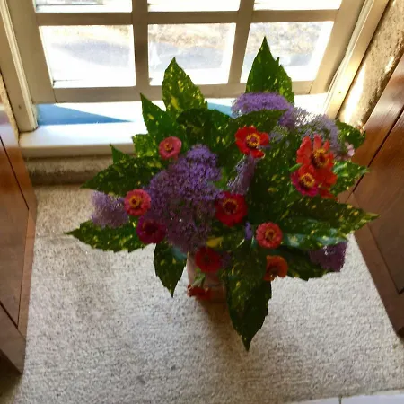 Quinta Santo Antonio Da Pedreira *