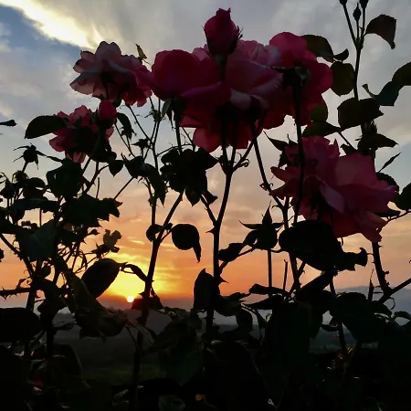 Quinta Santo Antonio Da Pedreira *