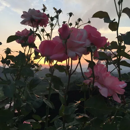 Quinta Santo Antonio Da Pedreira Séjour à la campagne Facha