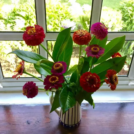 Quinta Santo Antonio Da Pedreira Casa de Campo *