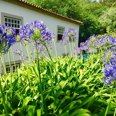 Casa de Campo Quinta Santo Antonio Da Pedreira Facha