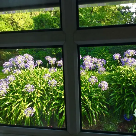 Quinta Santo Antonio Da Pedreira Séjour à la campagne