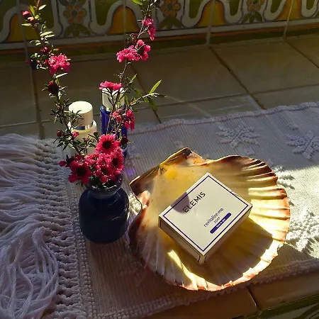 Casa de Campo Quinta Santo Antonio Da Pedreira *