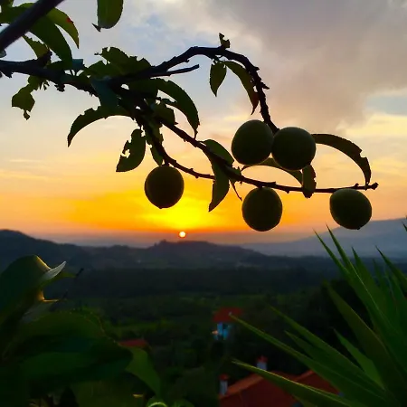Séjour à la campagne Quinta Santo Antonio Da Pedreira