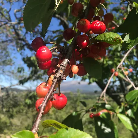 Quinta Santo Antonio Da Pedreira * Facha