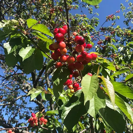 Quinta Santo Antonio Da Pedreira Facha