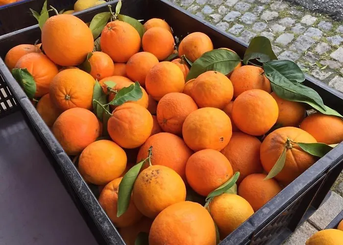 Quinta Santo Antonio Da Pedreira Facha