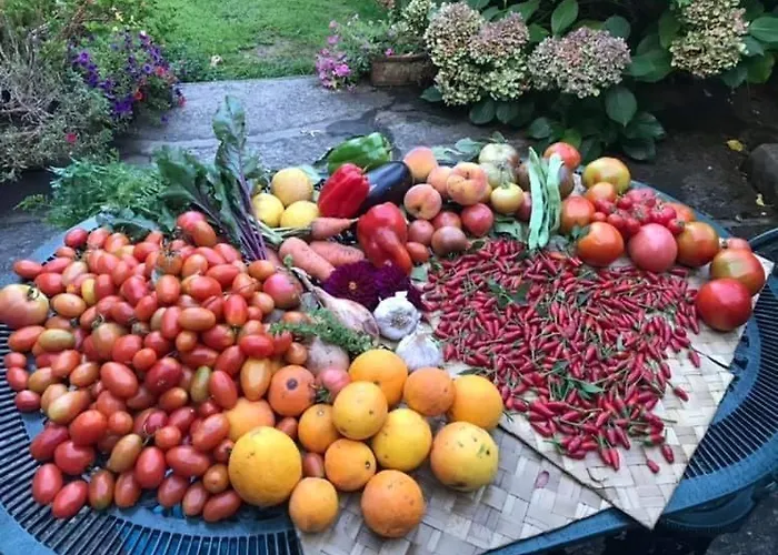 Quinta Santo Antonio Da Pedreira منزل ريفي *