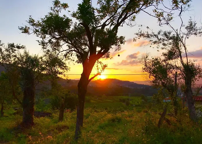 Quinta Santo Antonio Da Pedreira Gospodarstwo wiejskie *