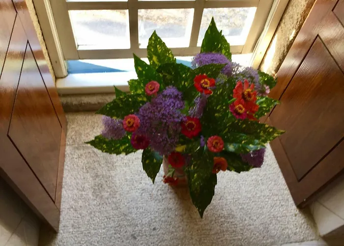 Quinta Santo Antonio Da Pedreira *