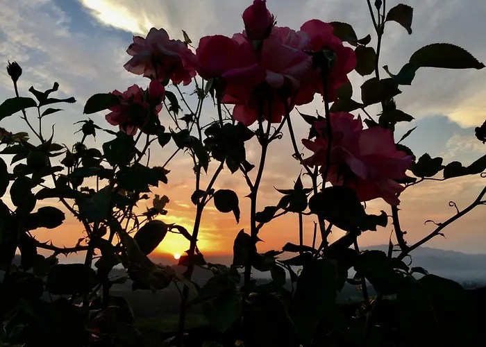 Quinta Santo Antonio Da Pedreira *