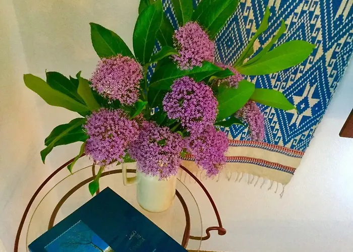 Quinta Santo Antonio Da Pedreira *