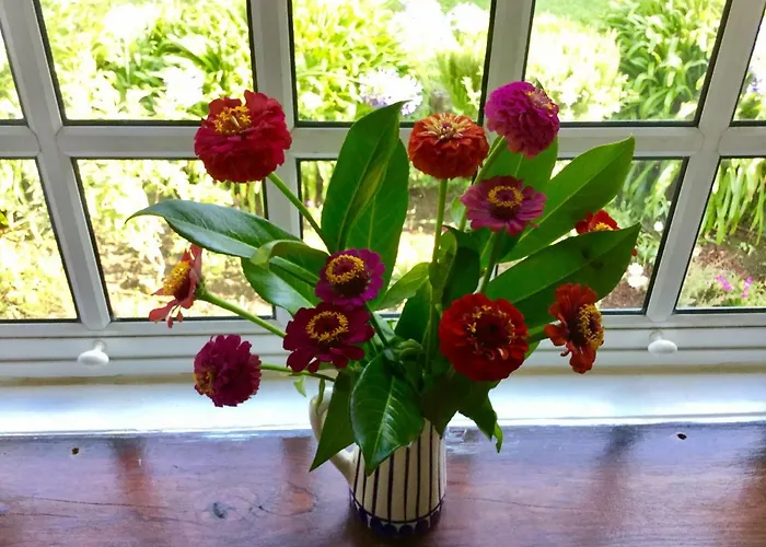 Quinta Santo Antonio Da Pedreira Gospodarstwo wiejskie *