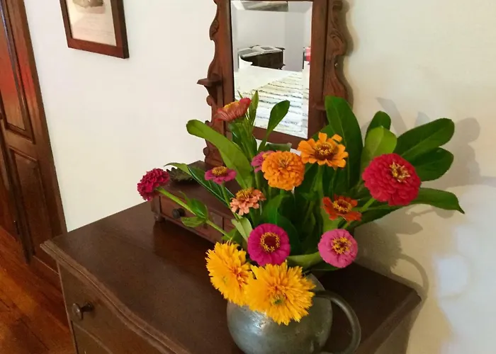 Gospodarstwo wiejskie Quinta Santo Antonio Da Pedreira