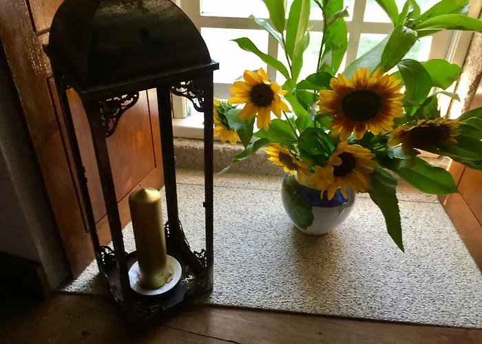 Quinta Santo Antonio Da Pedreira