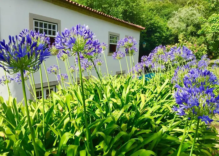 Gospodarstwo wiejskie Quinta Santo Antonio Da Pedreira Facha