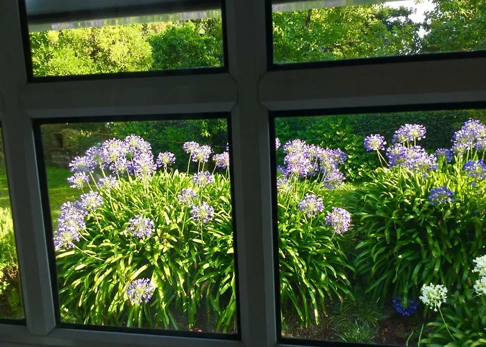 Quinta Santo Antonio Da Pedreira منزل ريفي