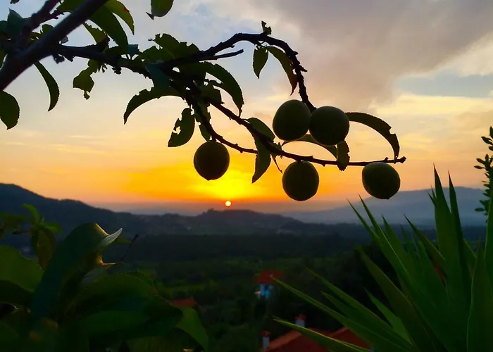 منزل ريفي Quinta Santo Antonio Da Pedreira