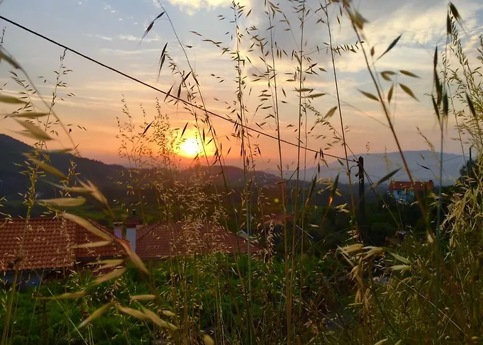 Quinta Santo Antonio Da Pedreira منزل ريفي