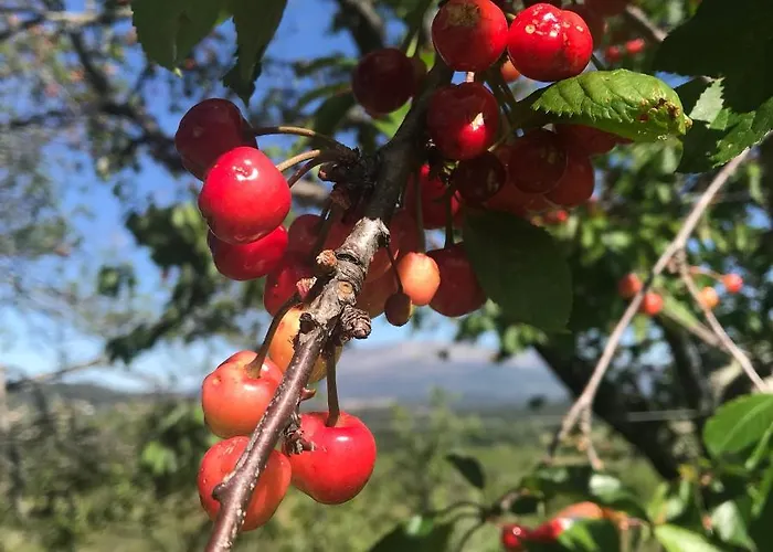 Quinta Santo Antonio Da Pedreira * Facha